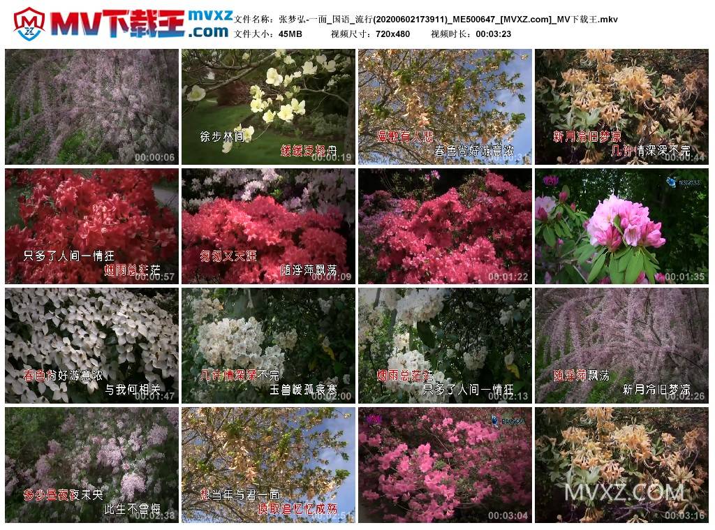 张梦弘-一面_国语_流行(20200602173911)_ME500647